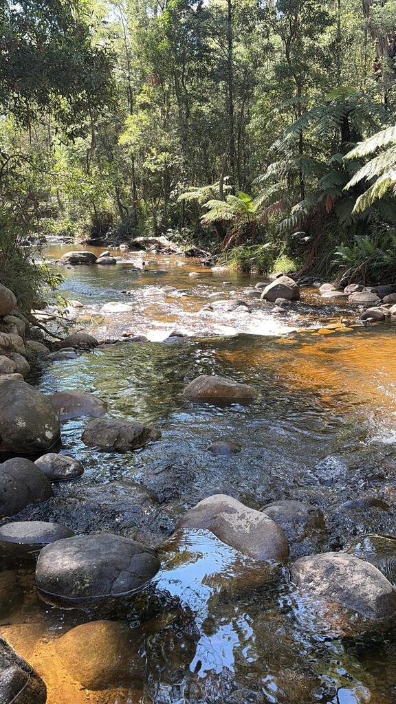 River near Cooks Mill