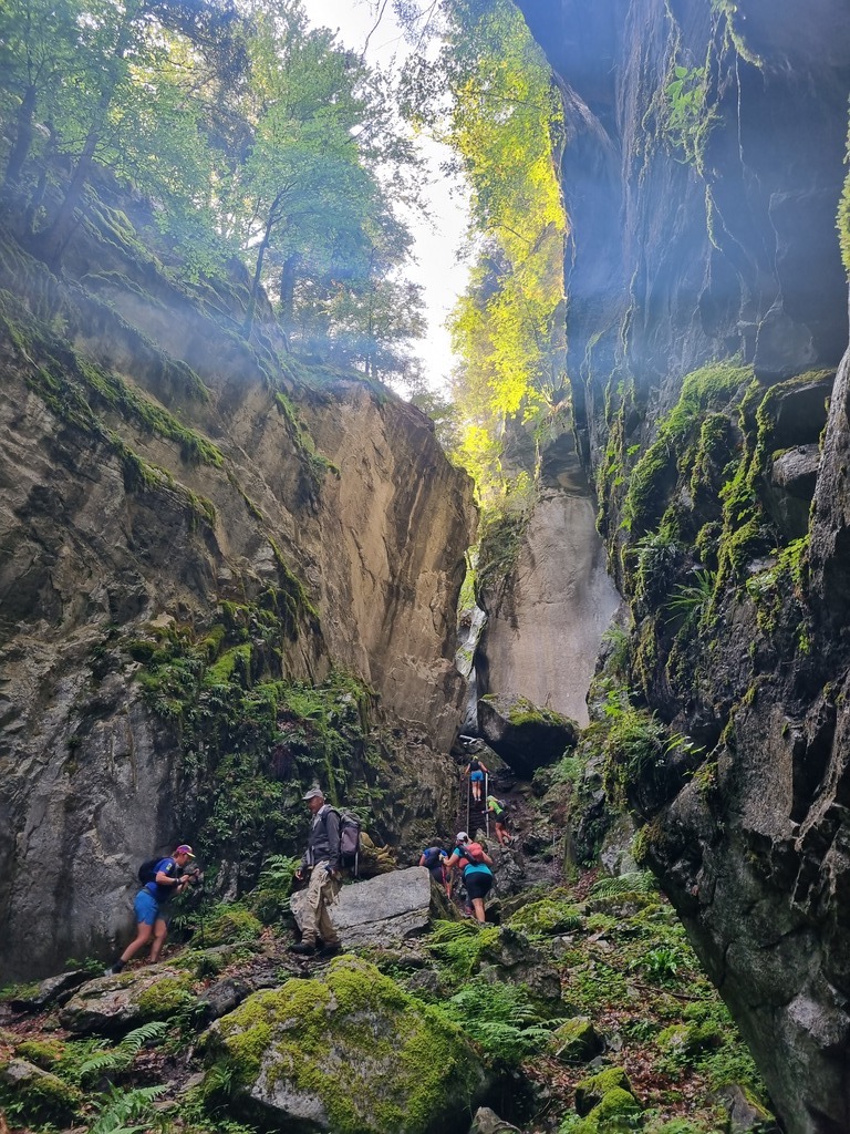 Gnarly trail up to waterfall