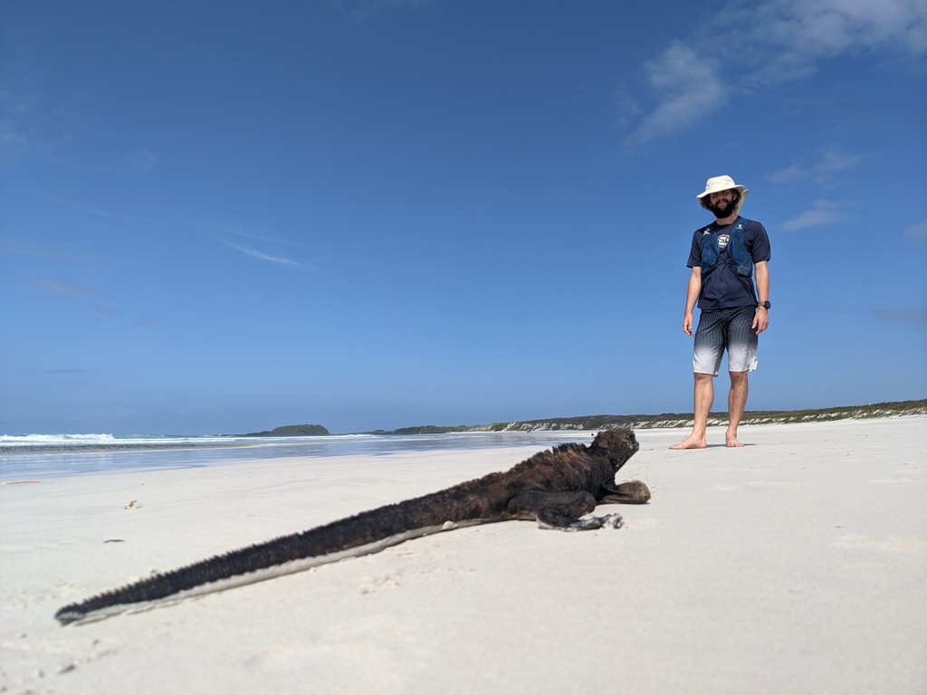 Iguana