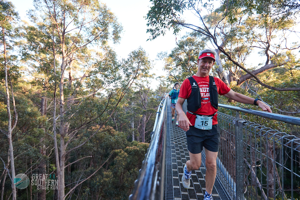 Treetop walk