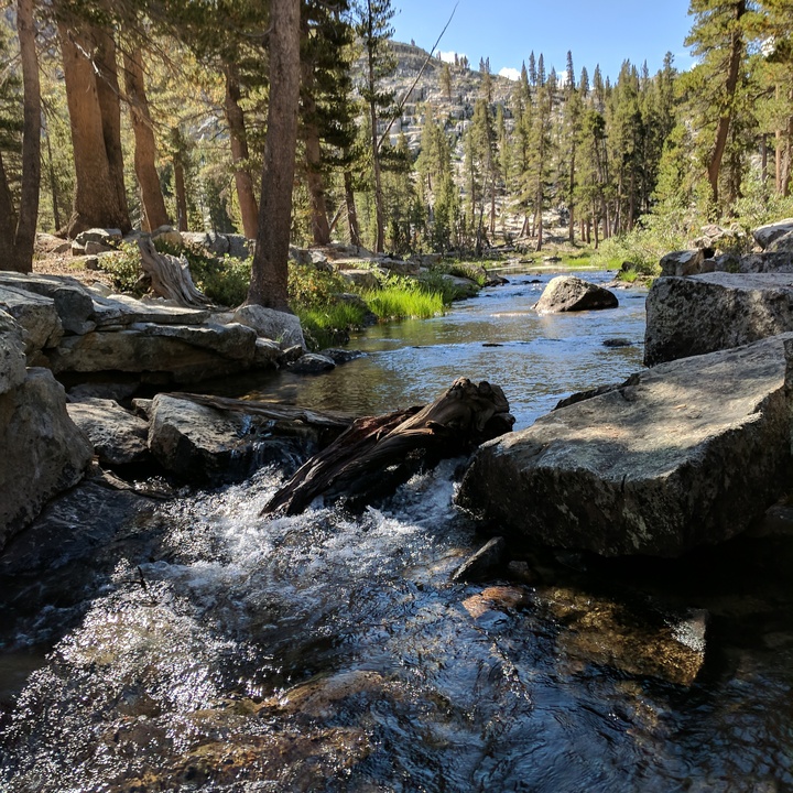 Lunch River