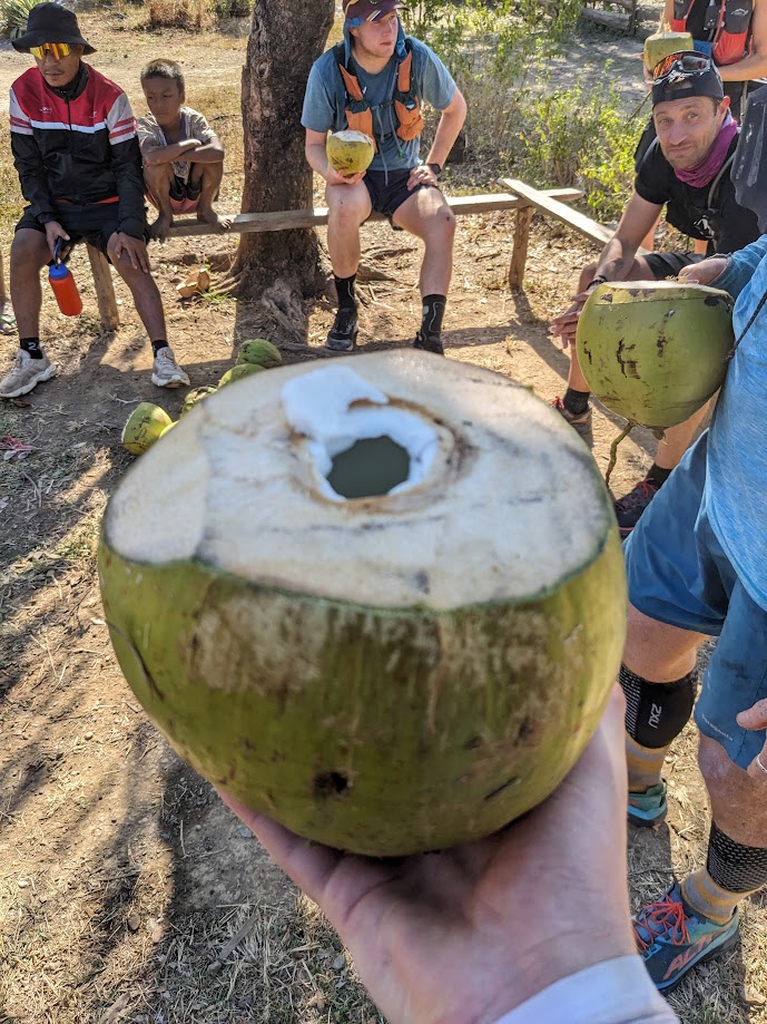 Fresh coconut at the river